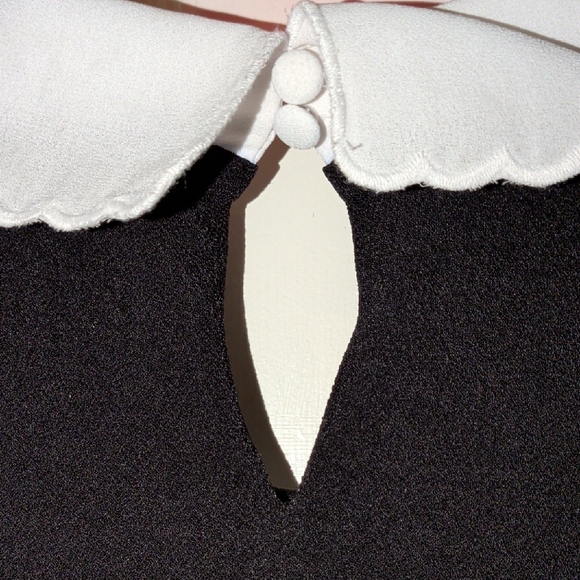 Elle Black Dress with White Collar Accent - Picture 5 of 6